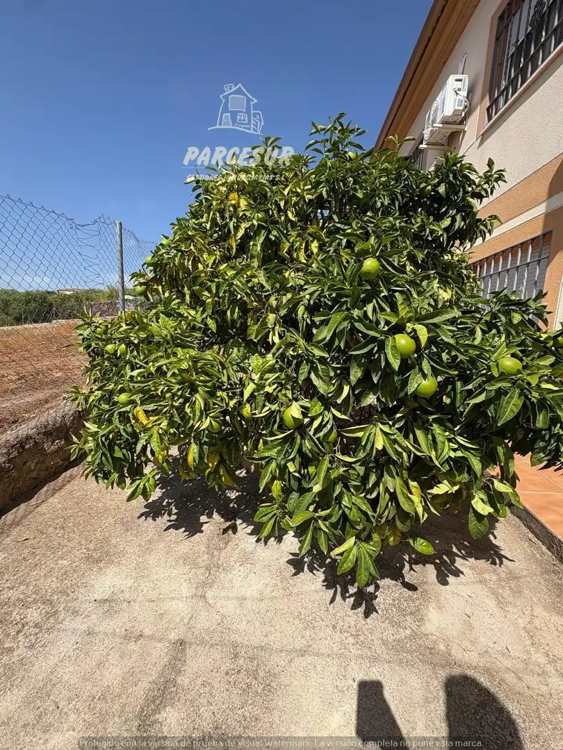 Casa con terraza en venta en Almodóvar del Río, imagen 28