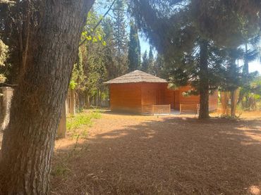 Terreni e lotti in vendita a Nueva Andalucía