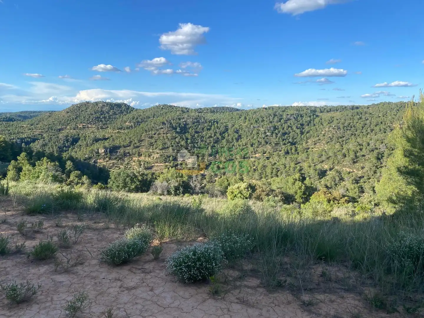 Residencial en venta en La Pobla de Cérvoles