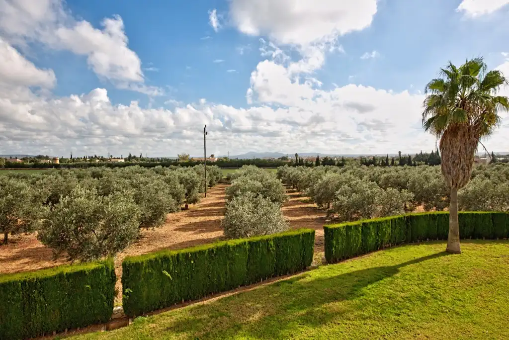 Jardí de Finca rústica en venda en Marratxí amb Aire condicionat, Calefacció i Terrassa
