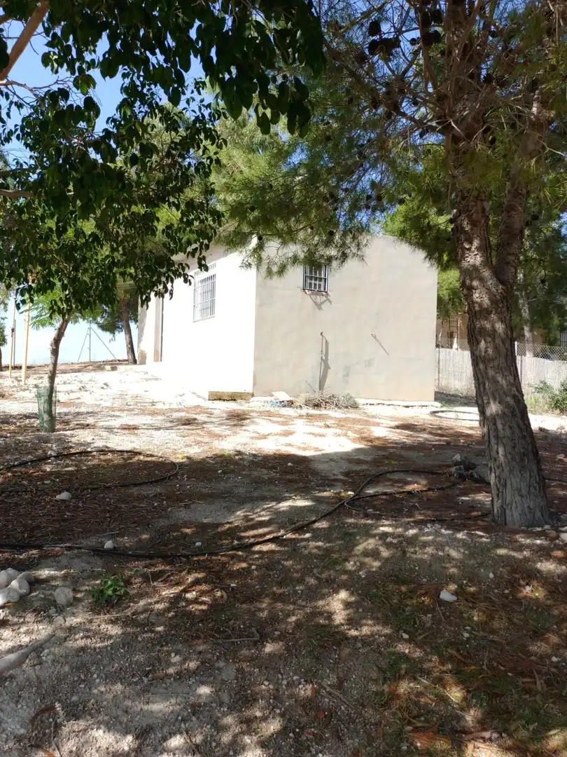 Houses for sale in Molina de Segura
