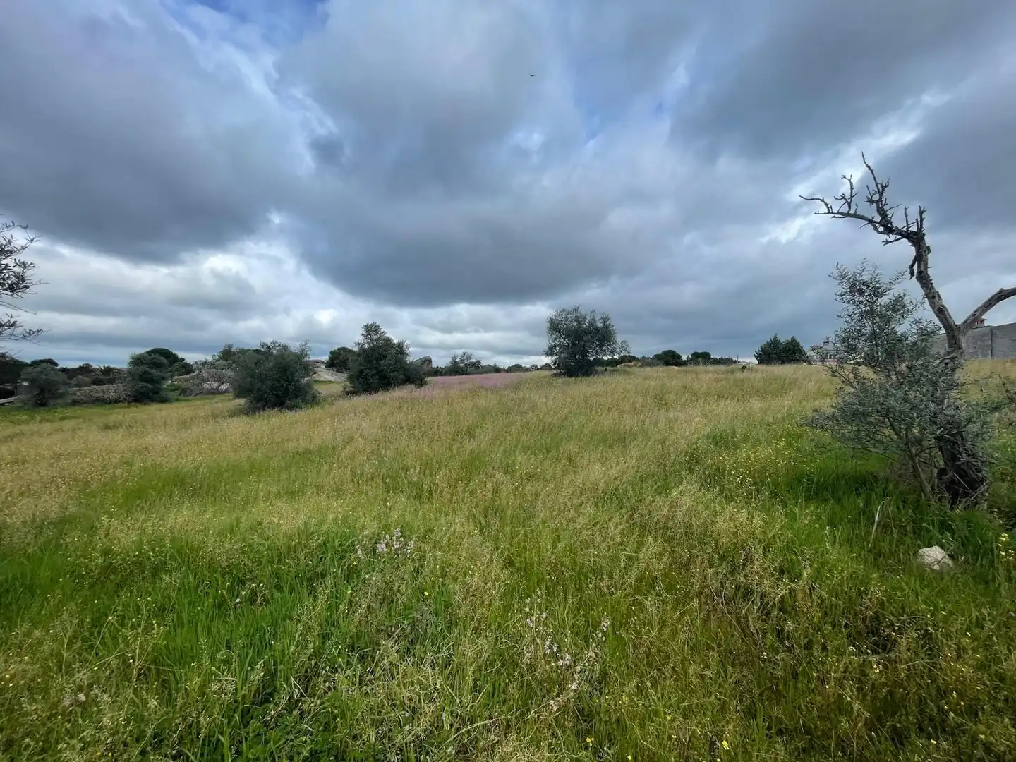 Terrenos y solares en venta en Malpartida de Cáceres