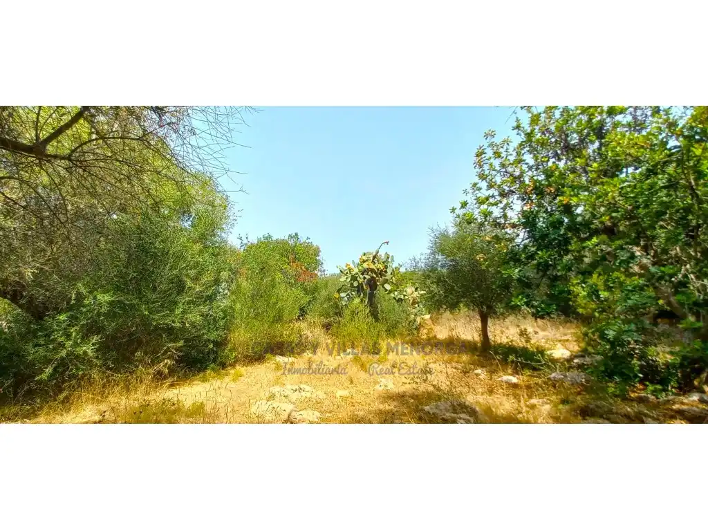Maison rustique à vendre à Poligono 4 Paraje 28 Ses Cometes, imagen 5