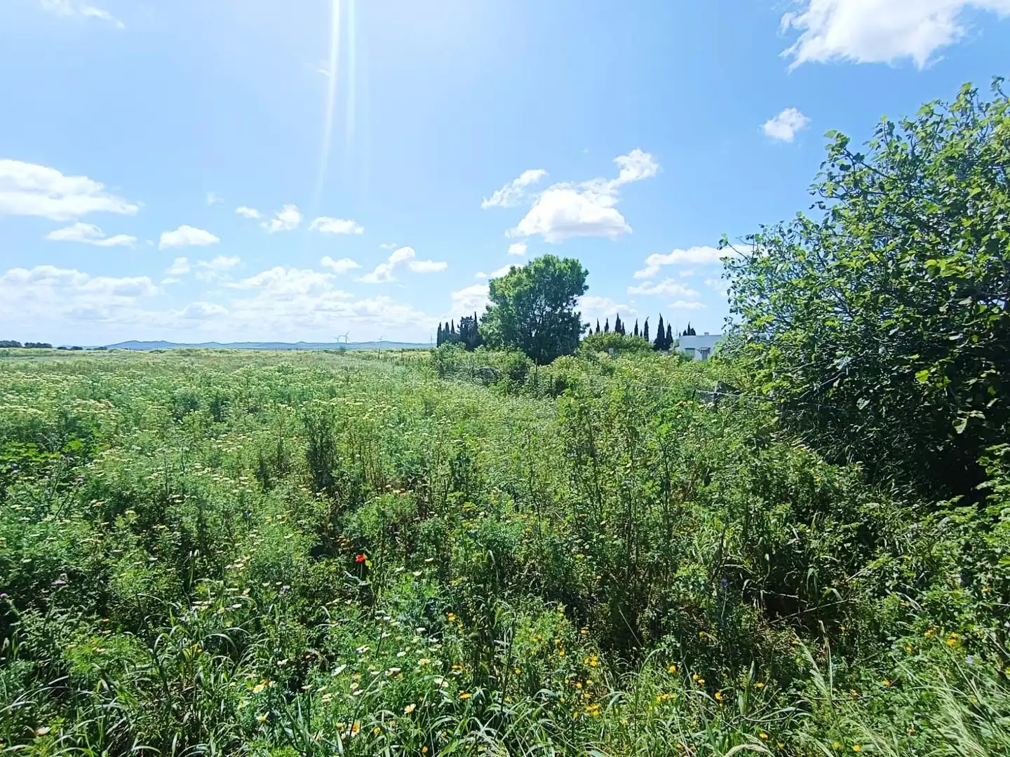 Terreno residenziale in vendita a Los Franceses – La Vega, imagen 5