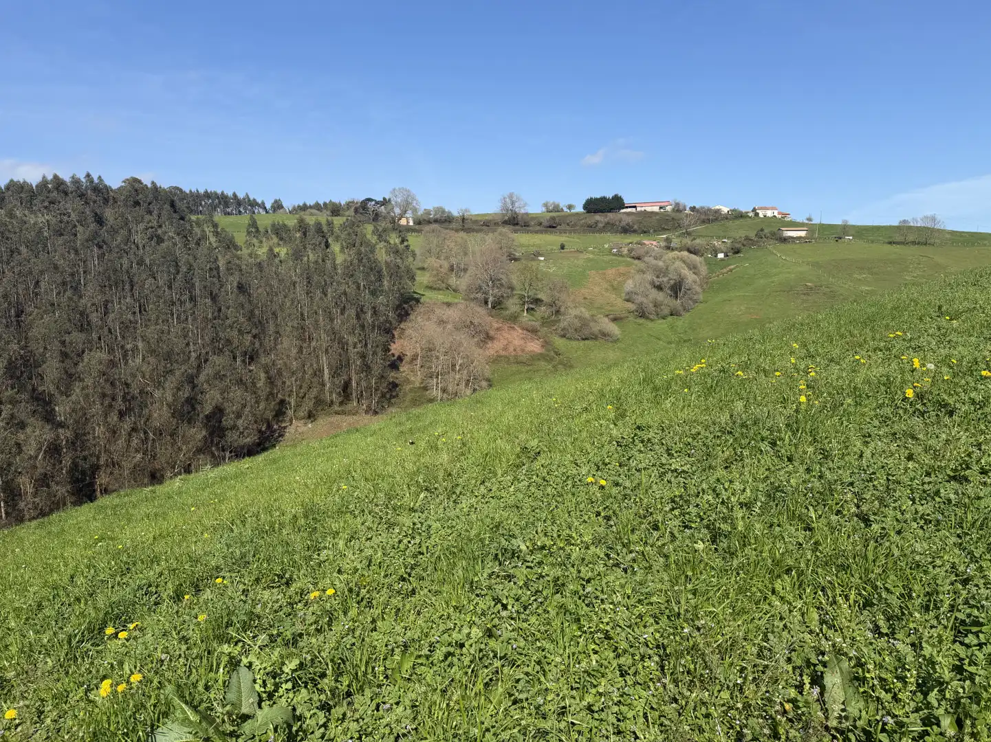 Casa o xalet en venda en Hazas de Cesto