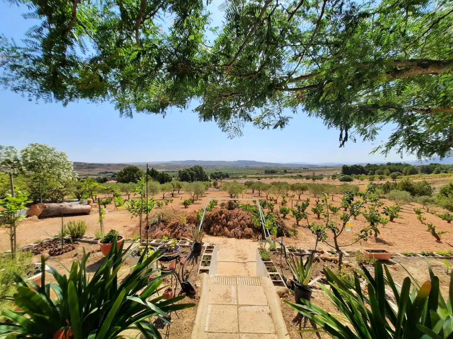Casa amb piscina en venda a Montealegre del Castillo, imagen 26