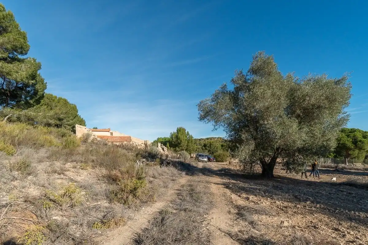 Terreno residenziale in vendita a El Pinar de Campoverde, imagen 5