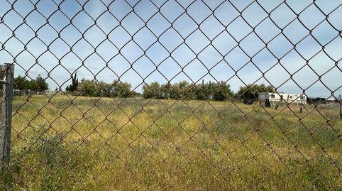 Photo 3 of Land for sale in Las Torres - Constelaciones, Utrera
