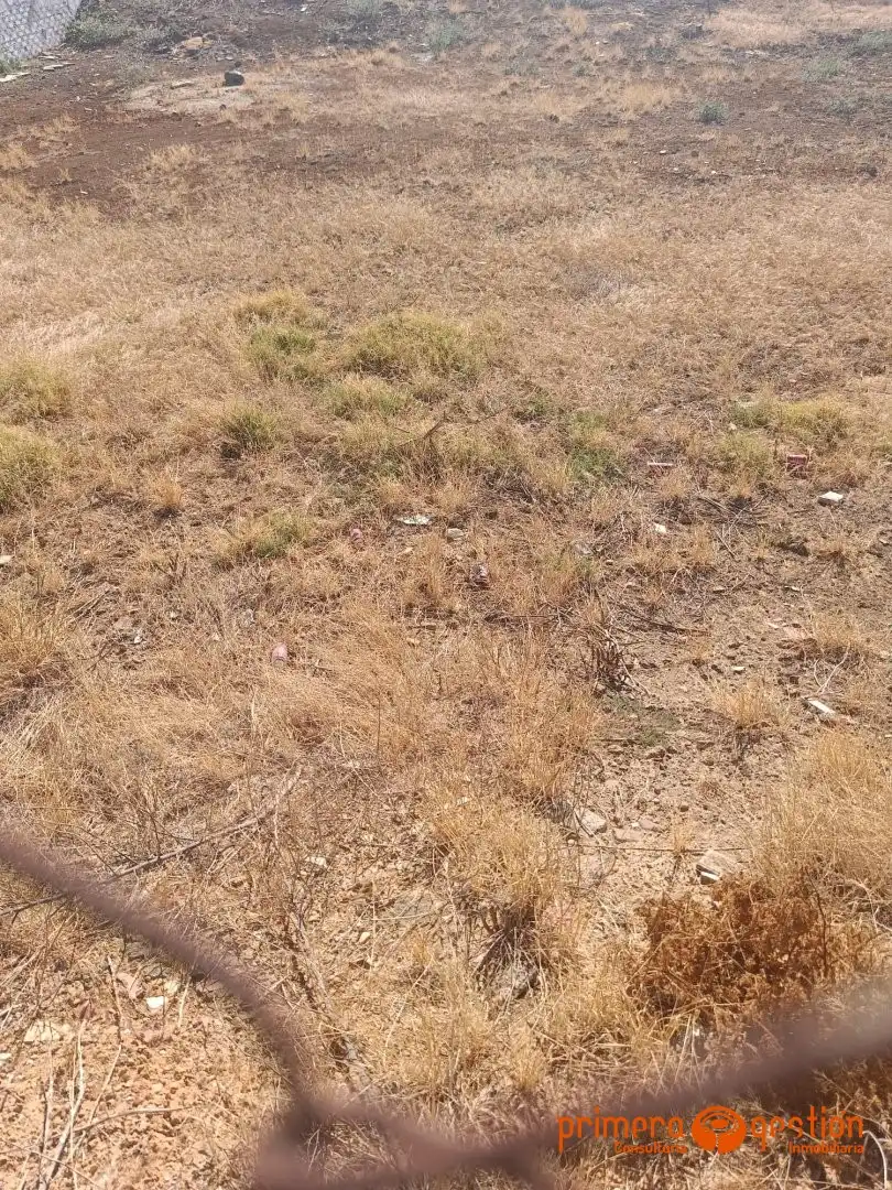 Terreni e lotti in vendita a Carmona