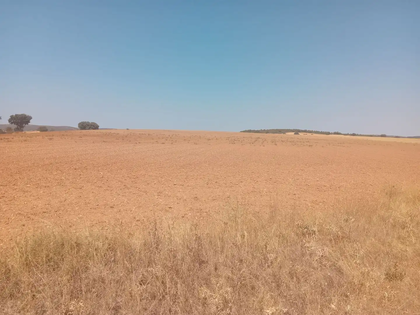 Terreno en venta en Moreruela de Tábara