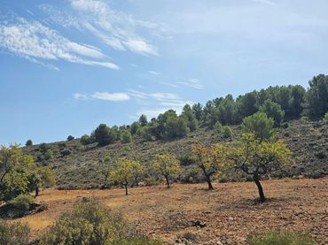 Rural land for sale in YESERAS