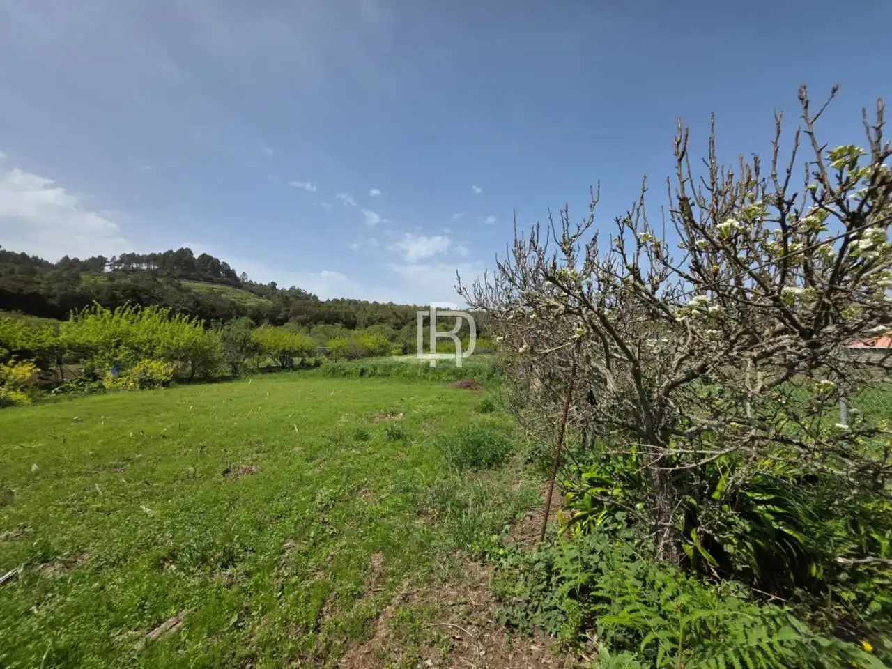 Finca rústica en venda en Garachico amb Jardí privat i Terrassa