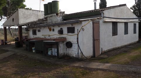 FINCA RUSTICA 91.487 M2 OLIVOS MASIA AGUA LUZ