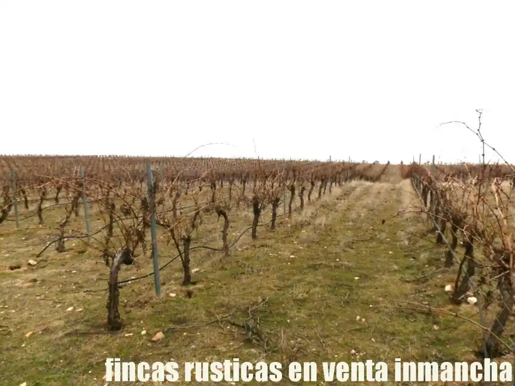 Terreni e lotti in vendita a Sonseca, imagen 11
