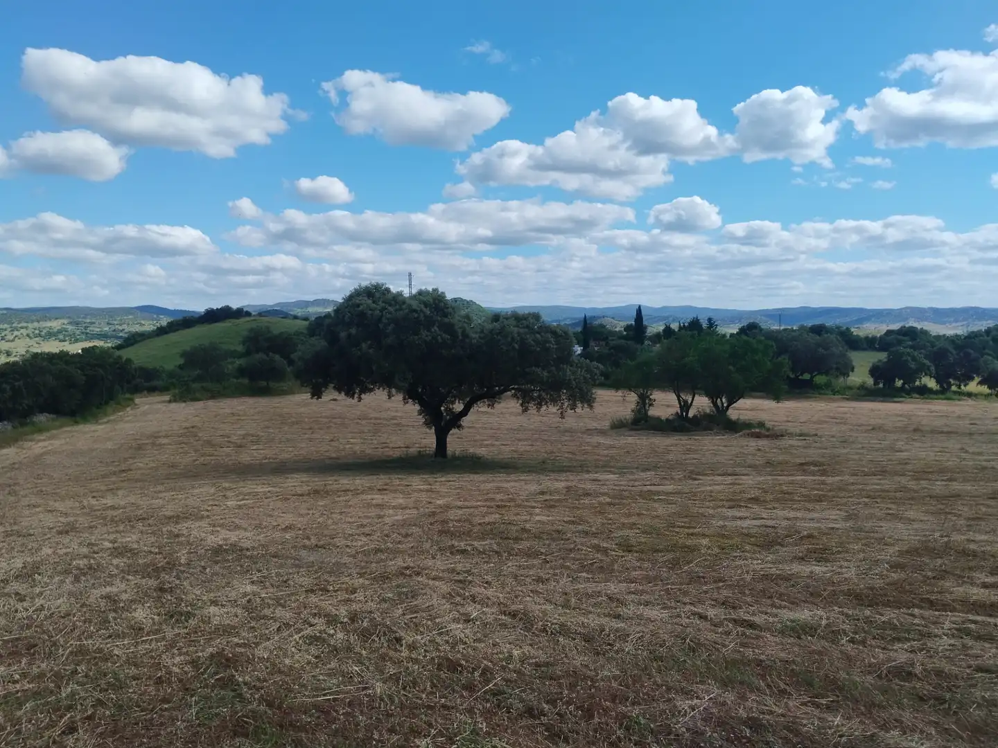 Terreni e lotti in vendita a Jerez de los Caballeros, imagen 5