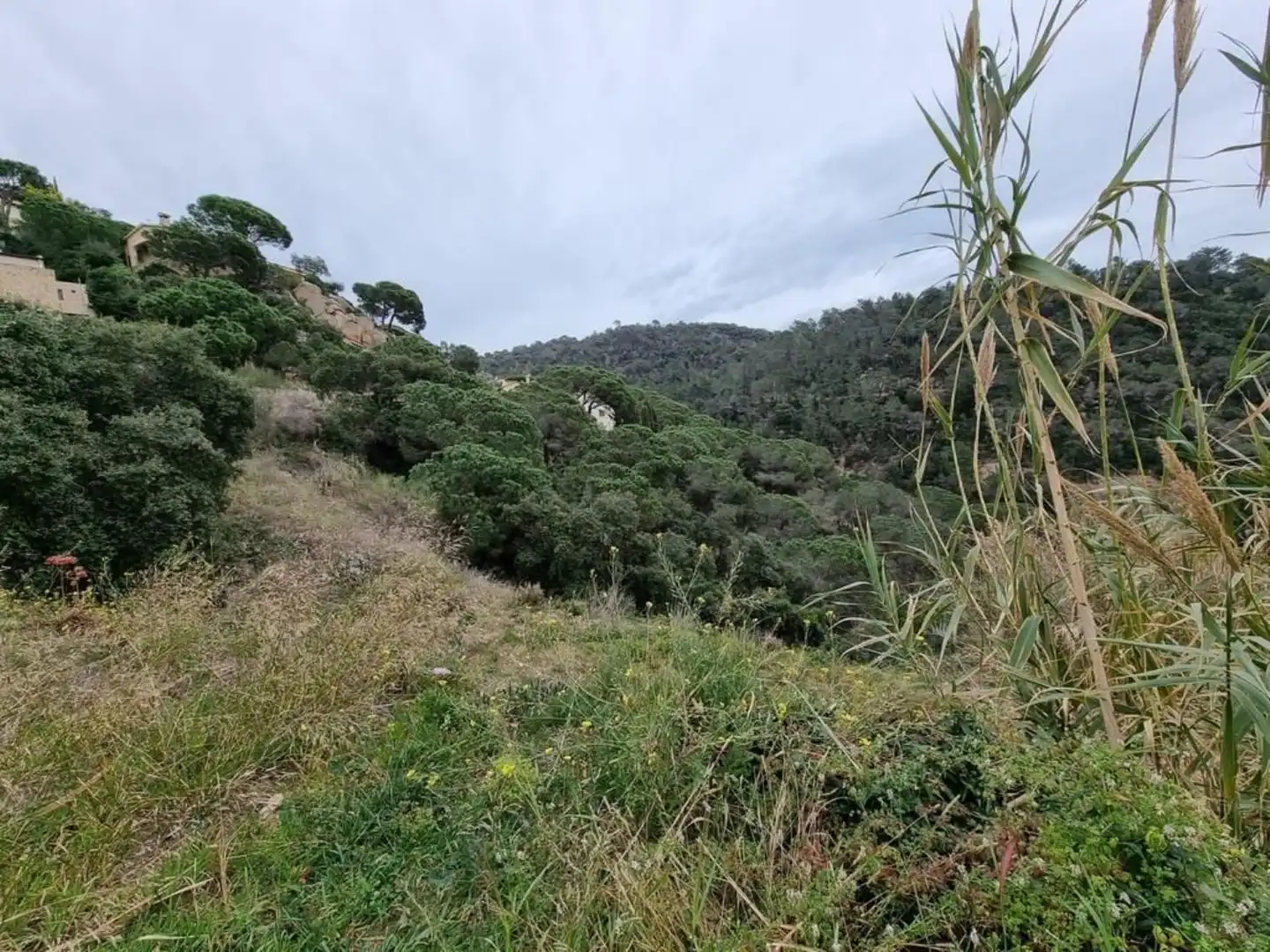 Terrenos y solares en venta en Serra Brava, imagen 32