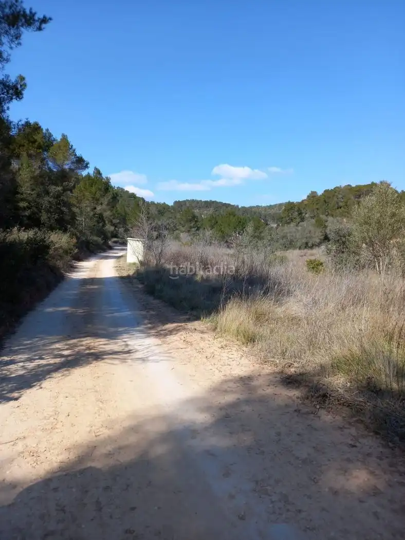 Rustikales Grundstück zum Verkauf in Carrer de l'Església 35, imagen 12