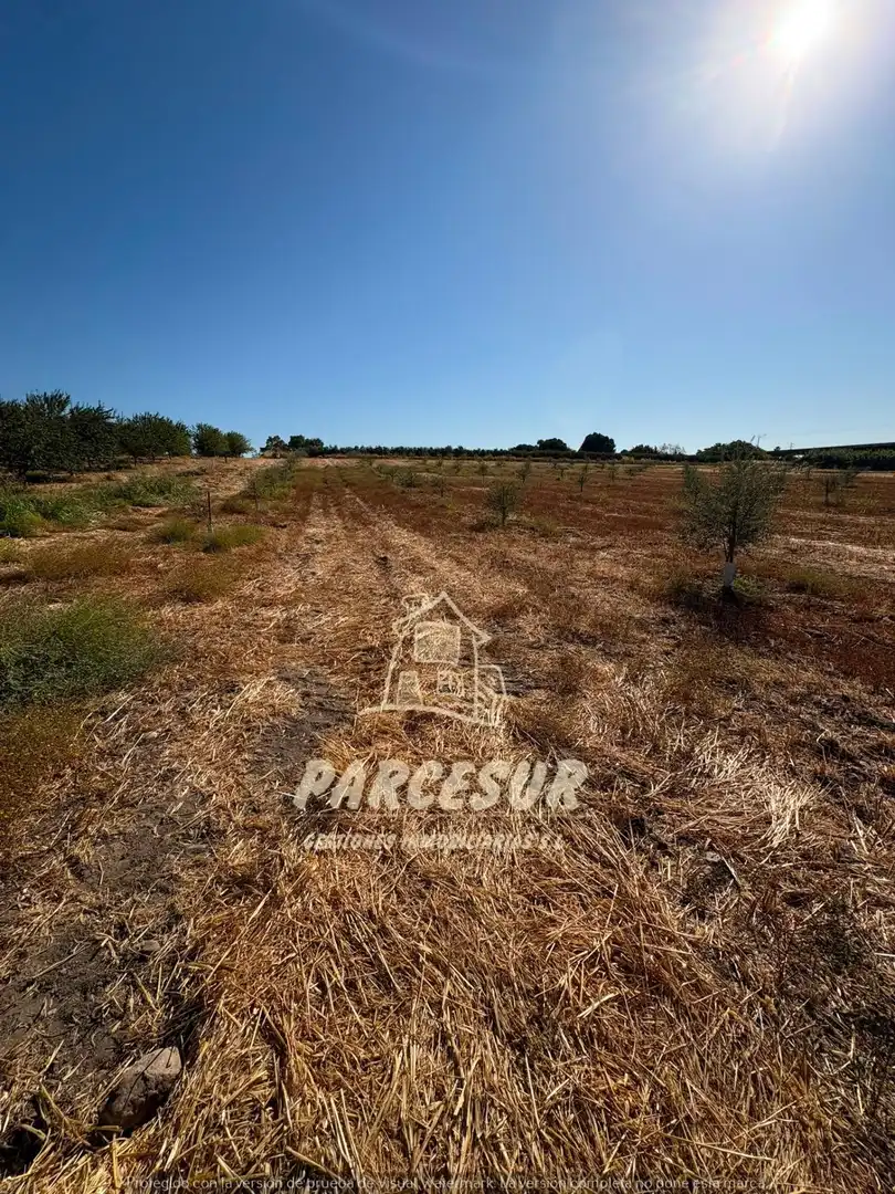 Terreno rustico in vendita a Periurbano Oeste - Sierra, imagen 12