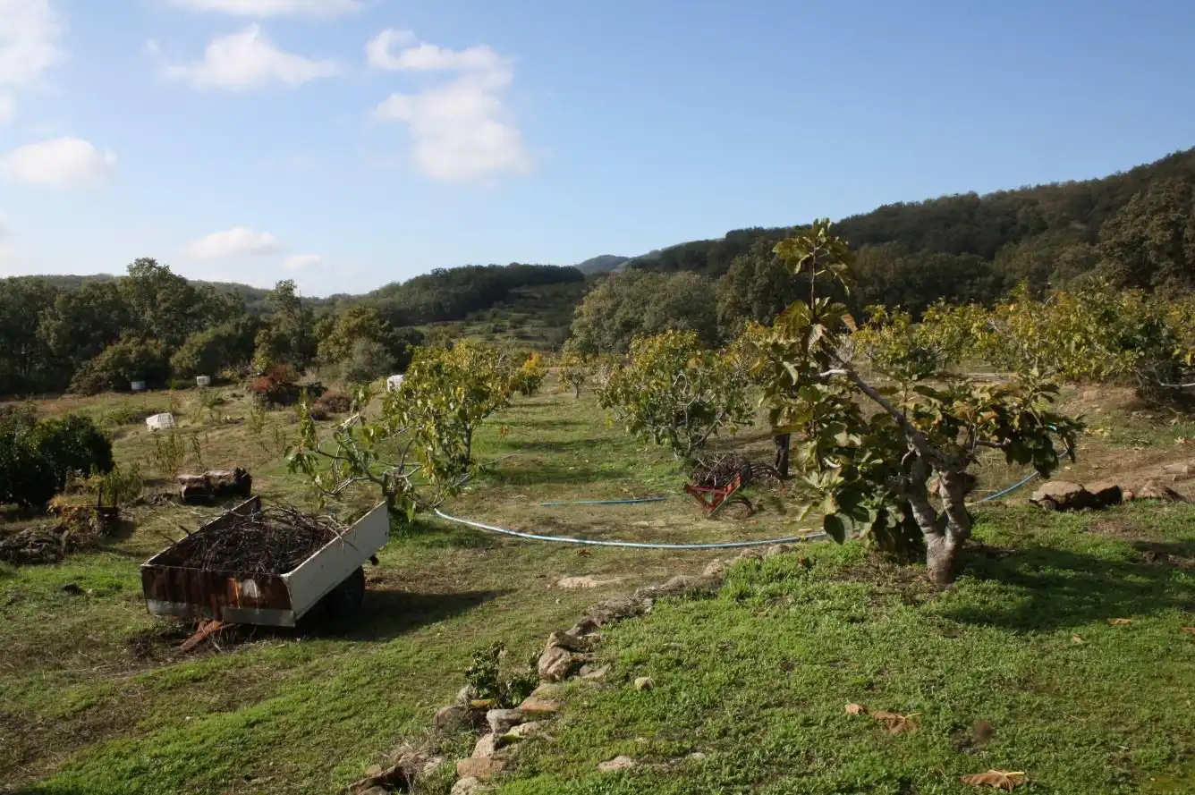 Jardín de Finca rústica en venta en Torremenga con Jardín privado, Terraza y Amueblado