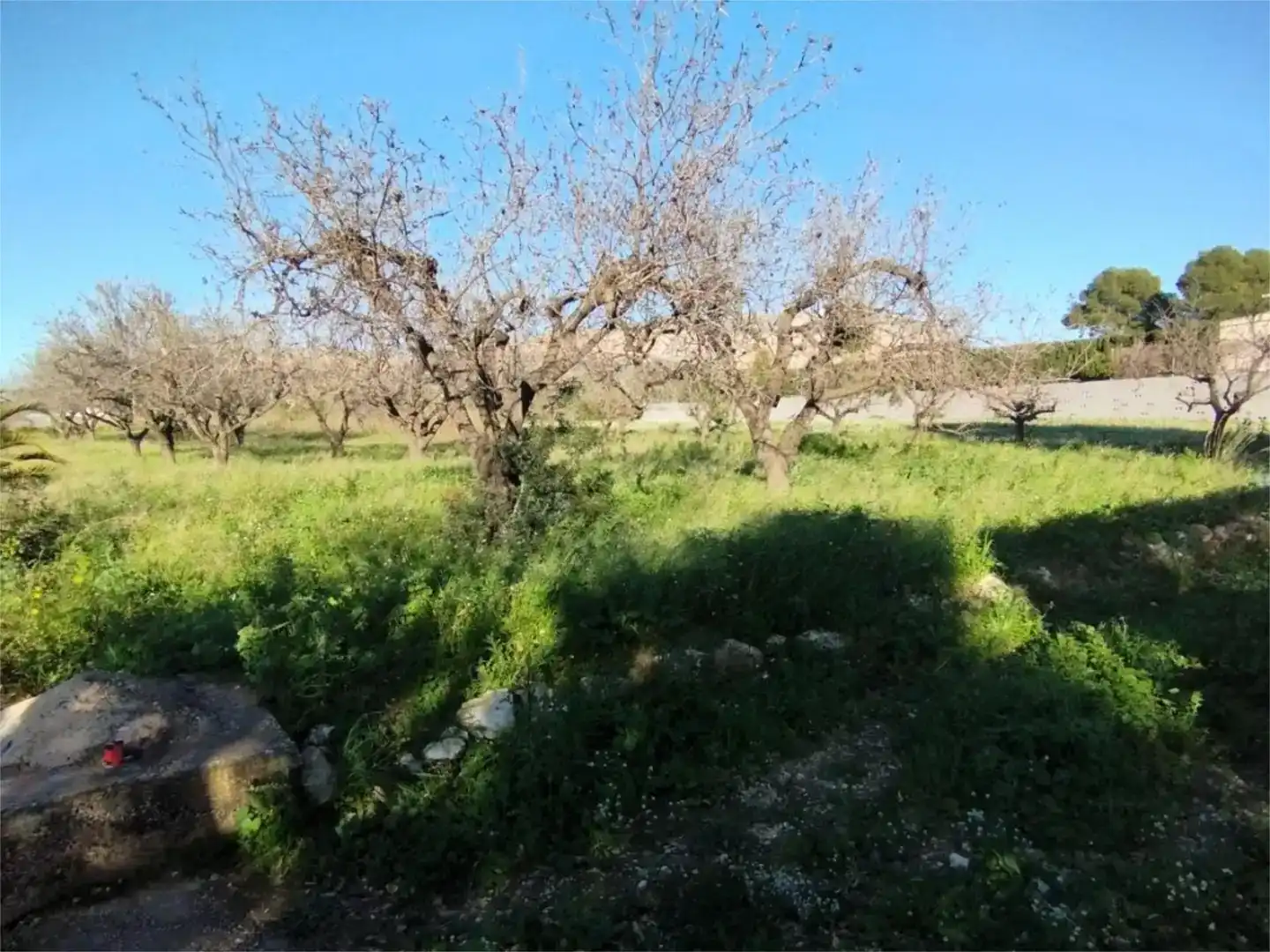 Land for sale in Gata de Gorgos, Alicante