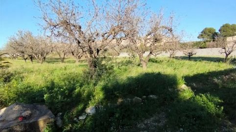 Foto 5 de Terreno en venta en De Gaia, 3, Gata de Gorgos, Alicante