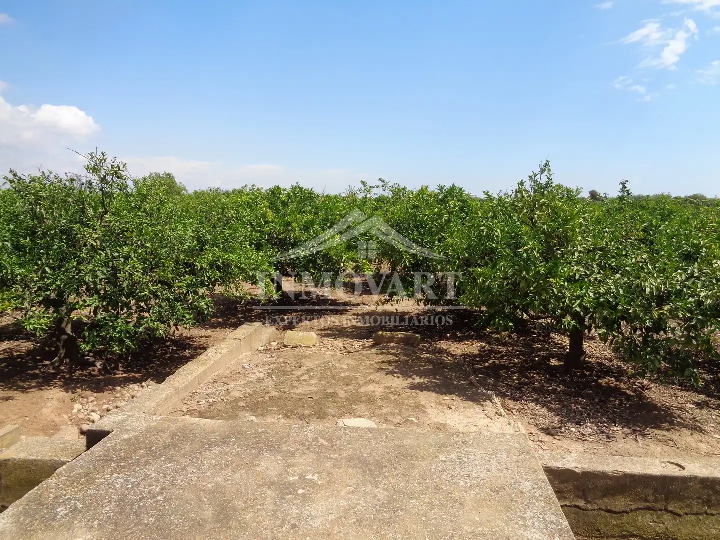 Rural land for sale in Sollana, imagen 2