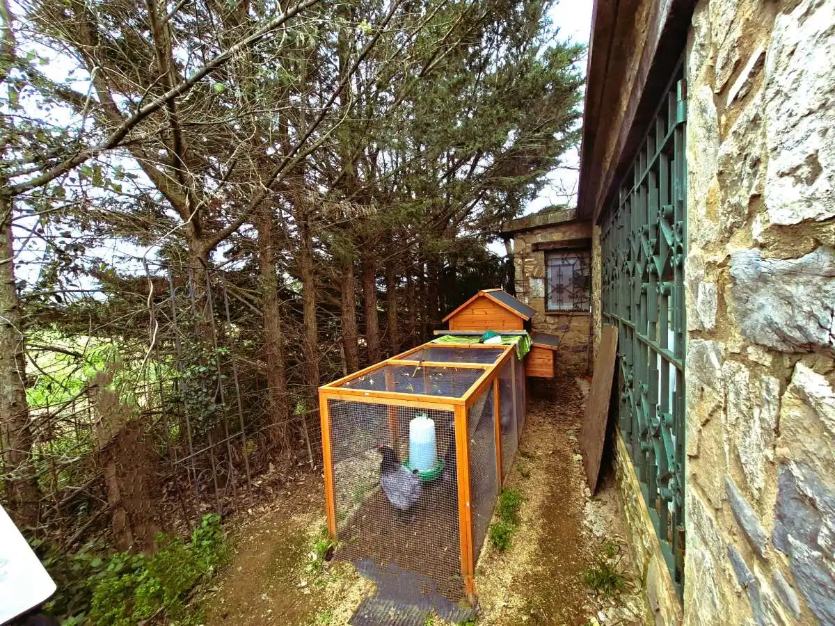 Jardín de Residencial en venta en Garriguella