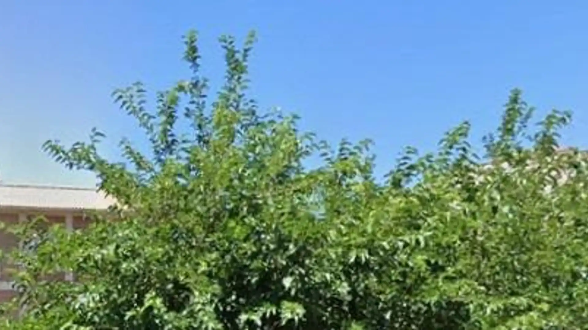 Piso en venta en Maracena con Jardín privado y Terraza