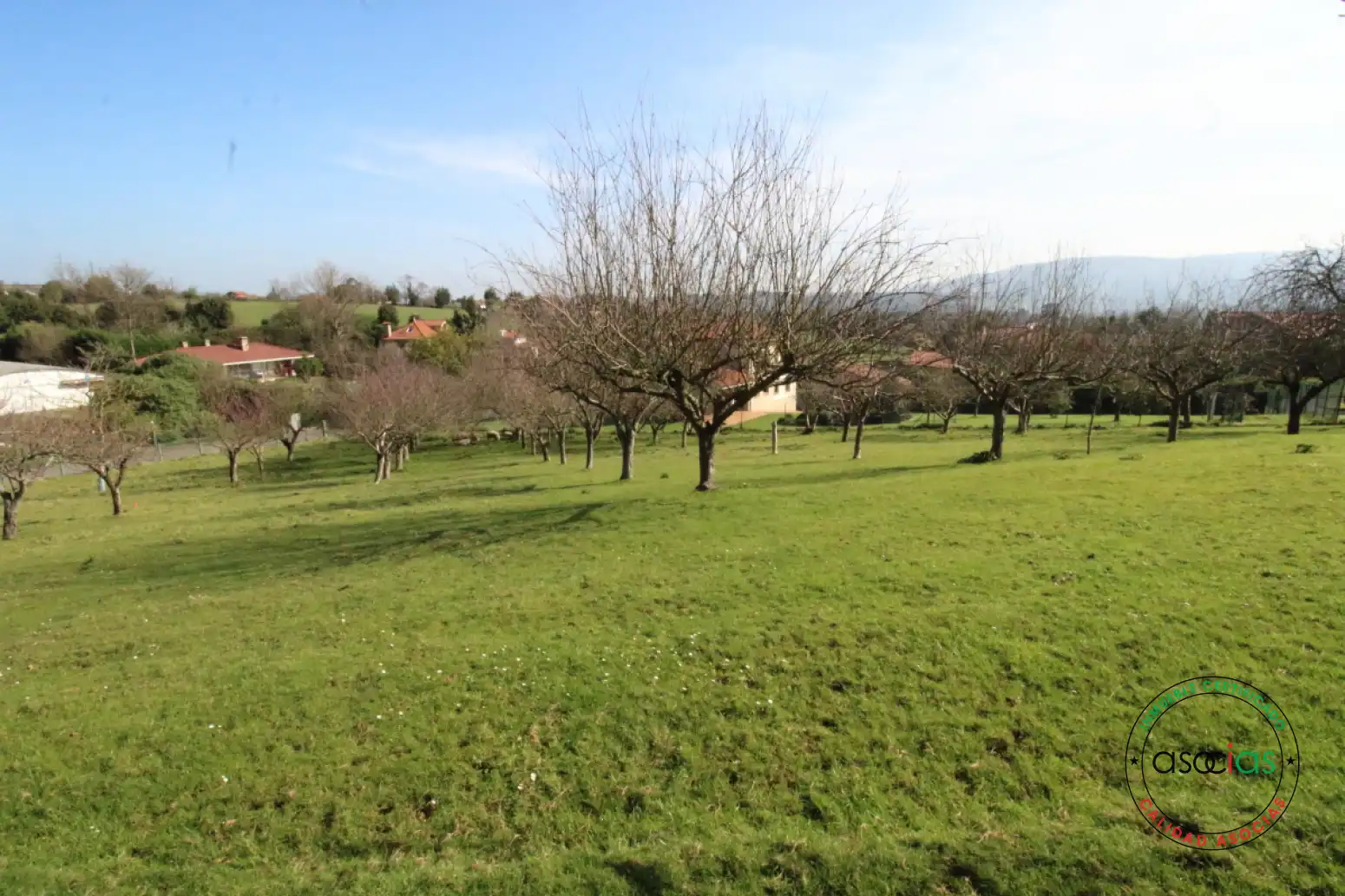 Terreno residencial en venta en Gijón - Camino de la Marruca 791, imagen 13