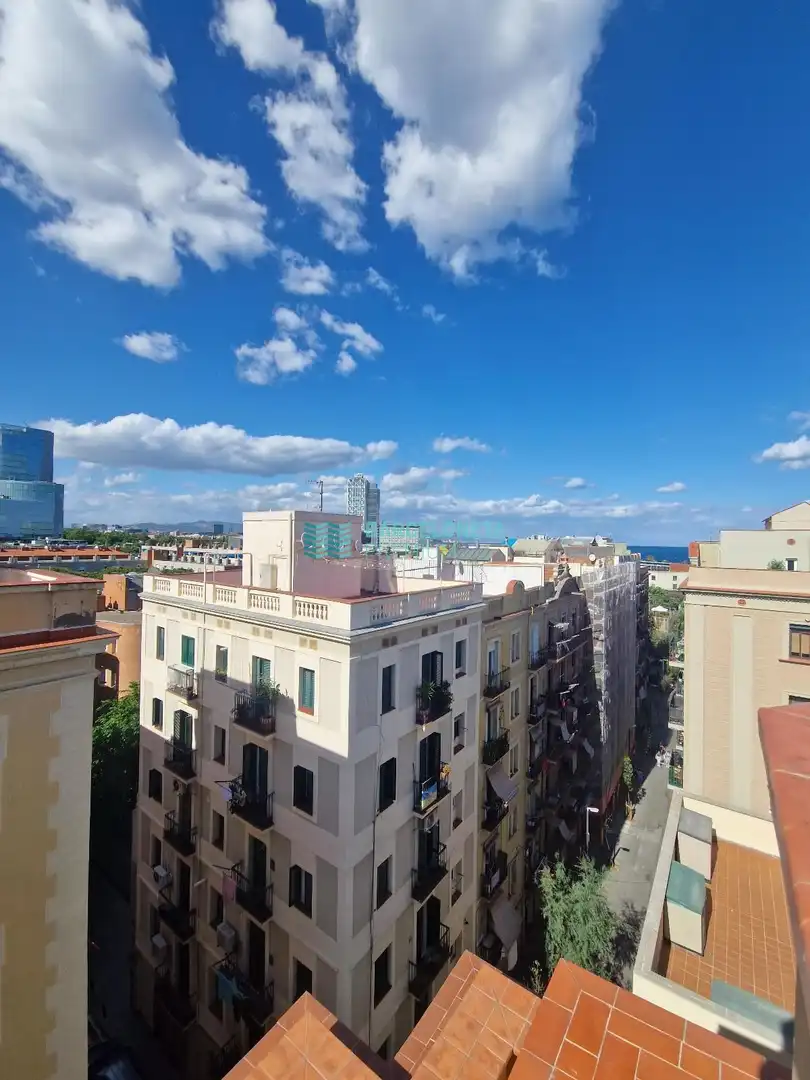 Dachboden zum Verkauf in gine i partagas, La Barceloneta