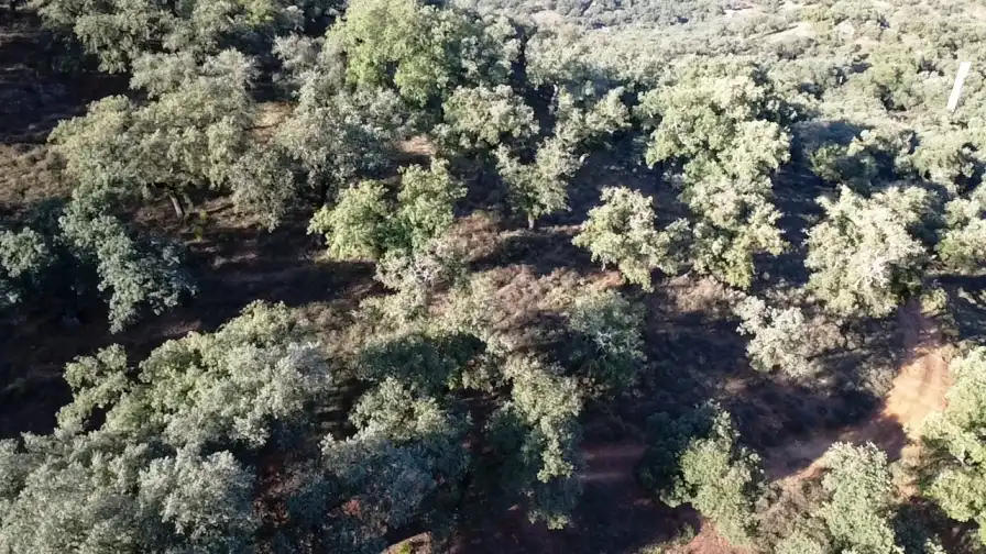Terrenos y solares en venta en Dehesa 8, imagen 5