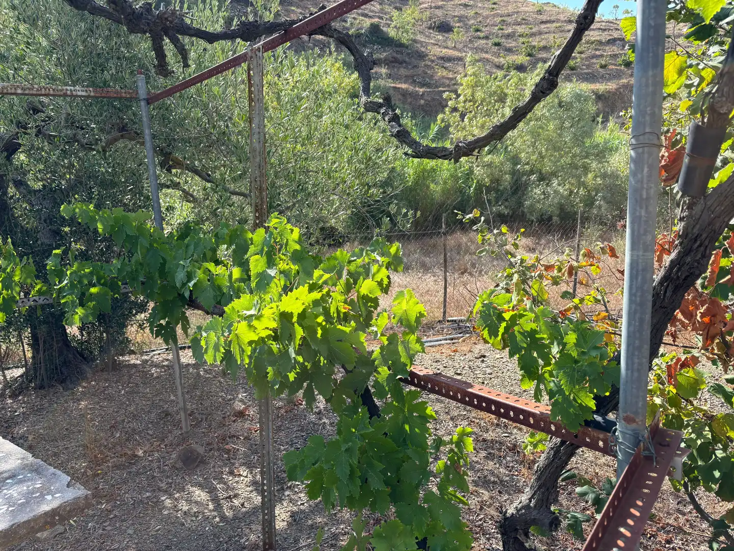 Terreno rústico en venta en Porrera, imagen 26