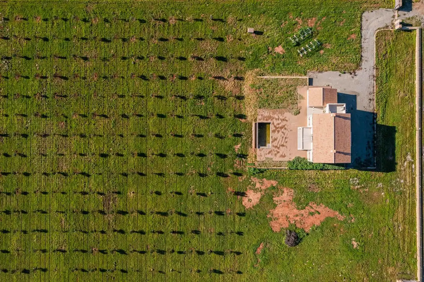 Finca rústica en venda a Porto Cristo