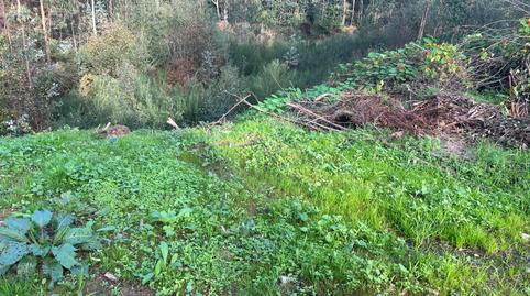 Foto 5 de Finca rústica en venda a Silvalonga, San Sadurniño, A Coruña
