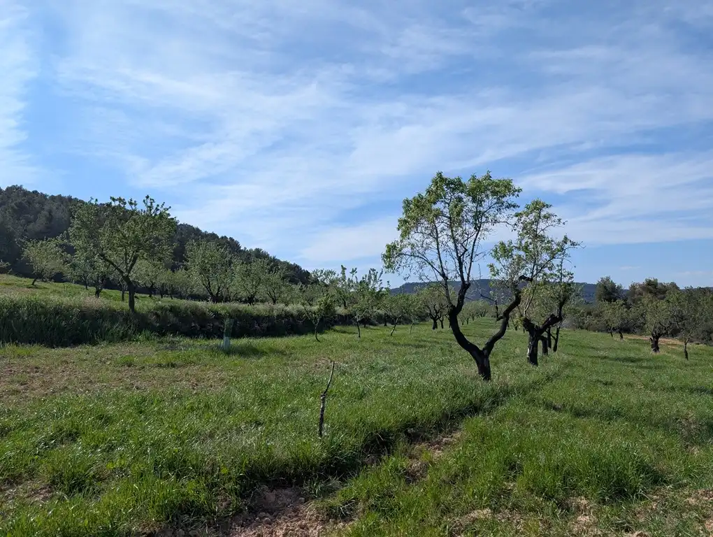 Terreni e lotti in vendita a Fuentespalda, imagen 2