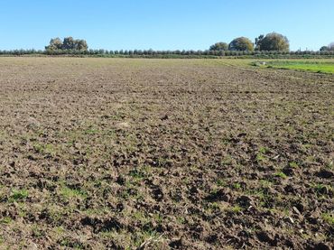 Terreno rustico in vendita a Periurbano Oeste - Sierra