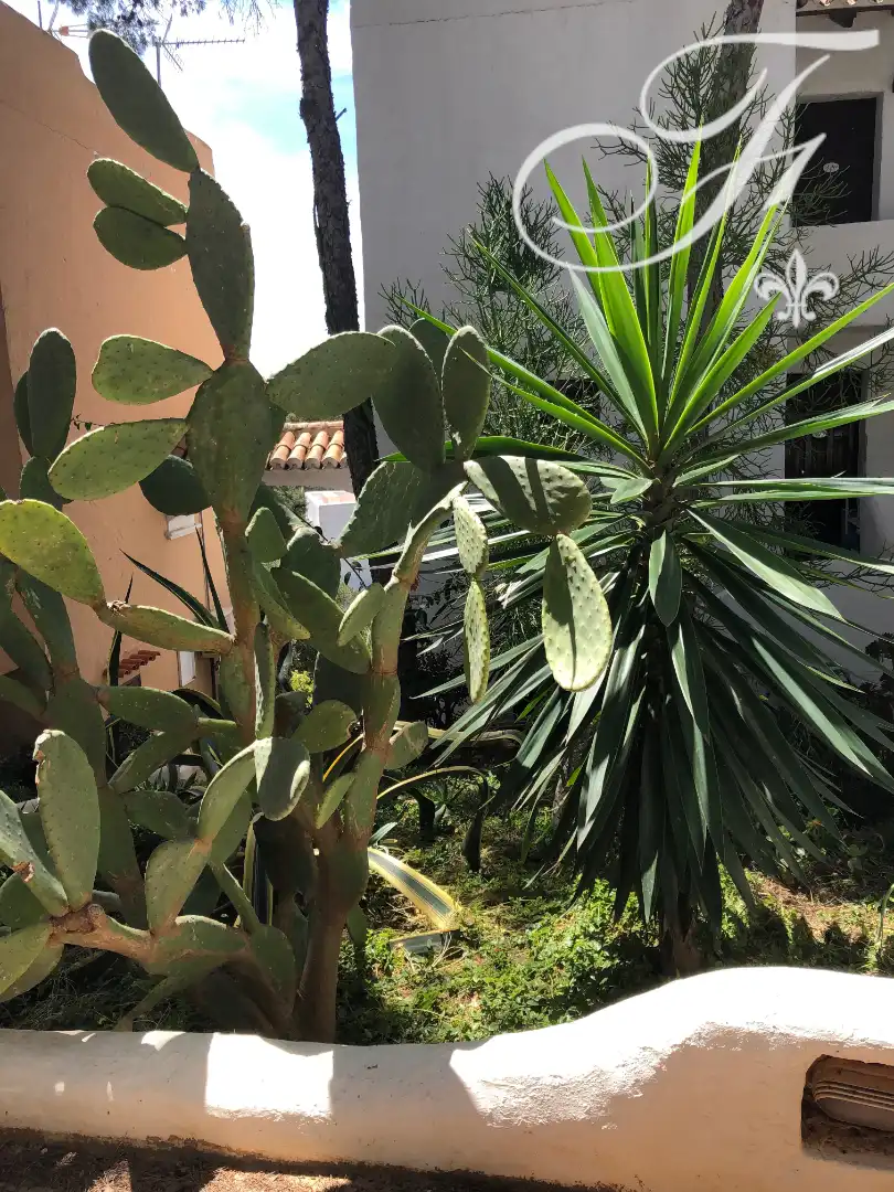 Jardín de Apartamento en venta en Sant Josep de sa Talaia con Aire acondicionado, Calefacción y Amueblado