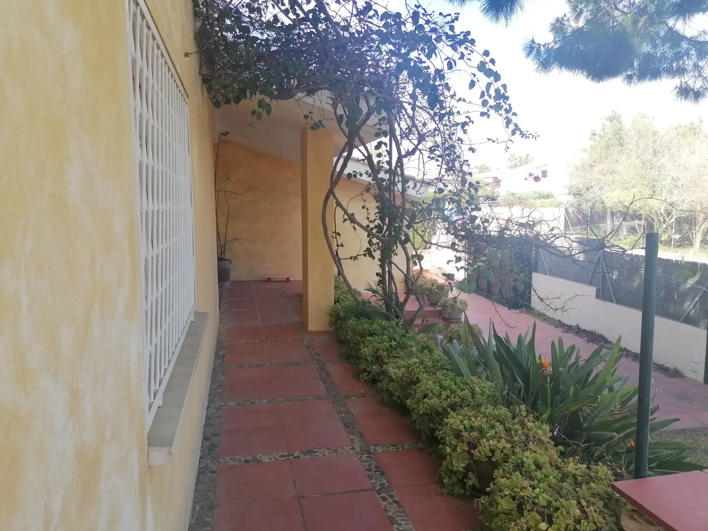 Houses for sale in Carrer del Doctor Ramon i Cajal, Bonavista
