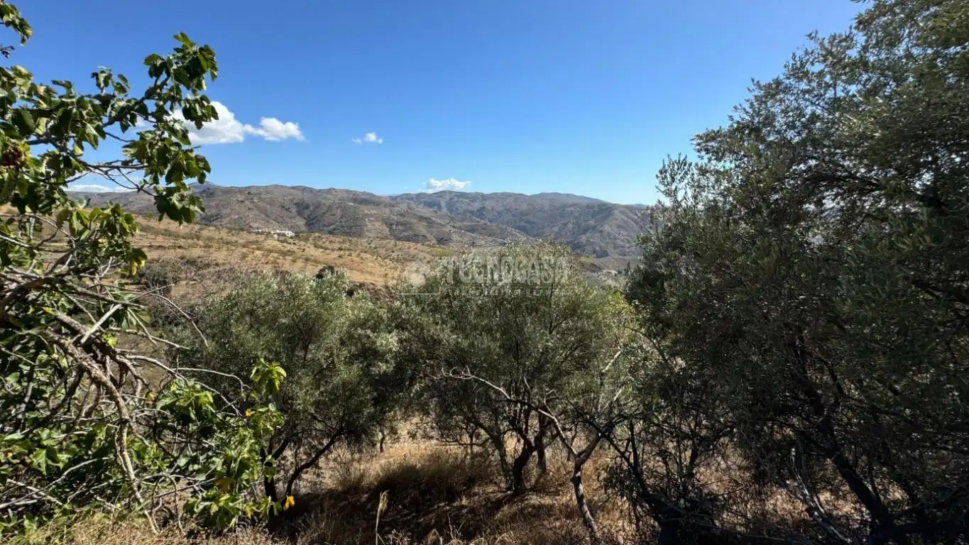 Finca rústica en venta en Albondón con Calefacción