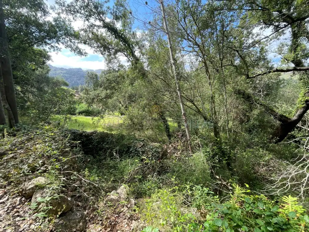 Casa in vendita a Pollença Poble, imagen 14
