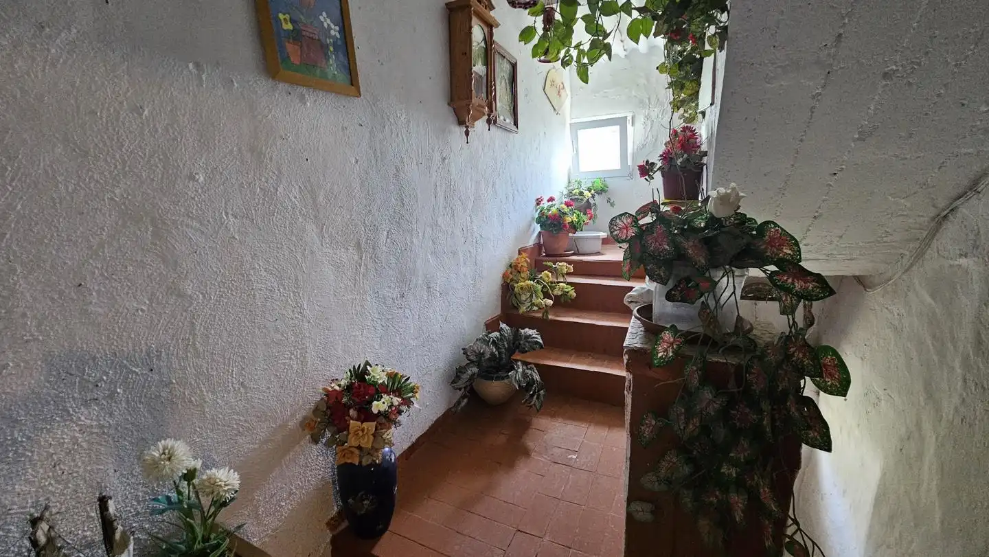 Casa o xalet en venda en San Bartolomé de Tirajana amb Jardí privat, Terrassa i Piscina