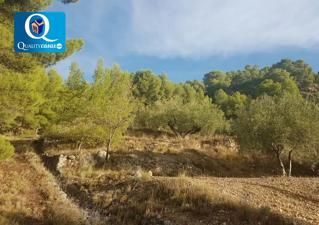 Villa à vendre à Onil, imagen 8