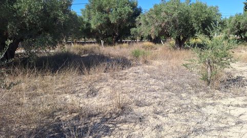 Foto 2 de Terreno en venta en Cañada del Fenollar, Alicante / Alacant