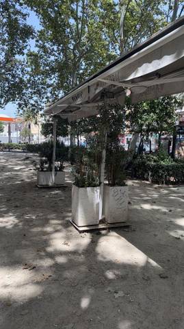 Local comercial en Alquiler en Trinitat