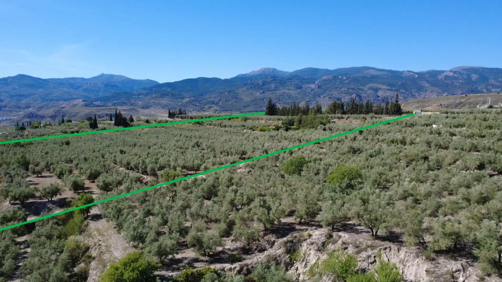 Terreno en venta en Tíjola