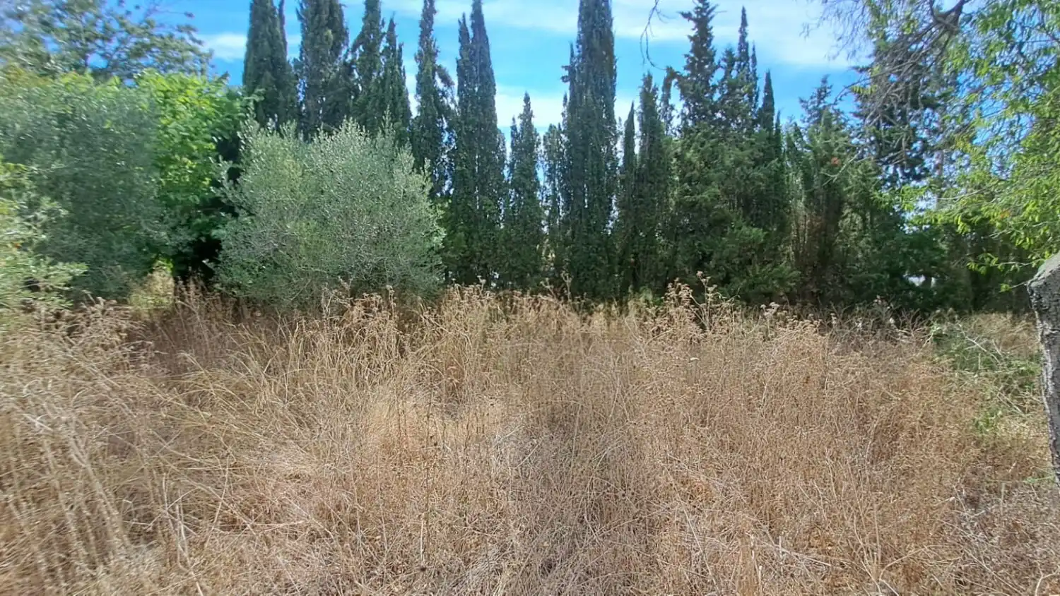 Country homes for sale in N/A, La Selva del Camp