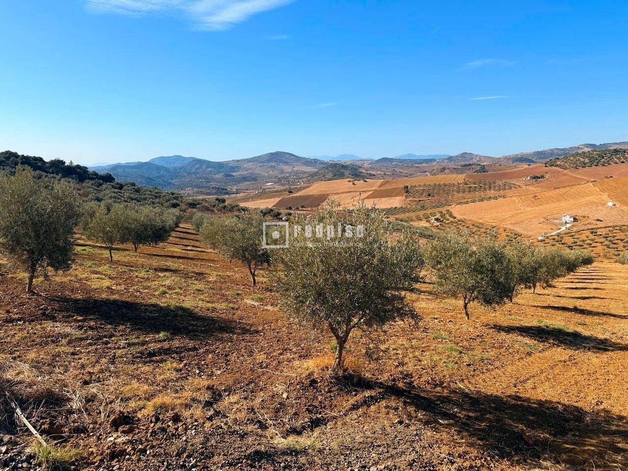 Terreny industrial en venda en Álora