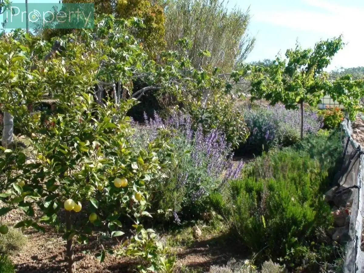 Jardín de Finca rústica en venta en El Vendrell con Aire acondicionado, Calefacción y Jardín privado
