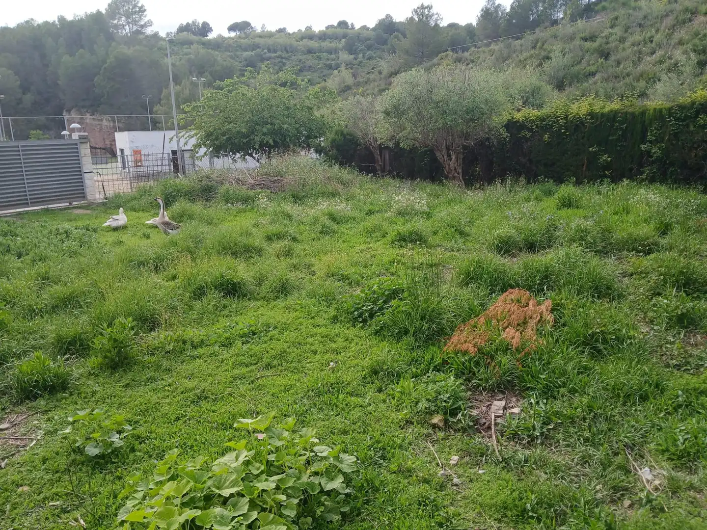 Terrenos y solares en venta en Castellbisbal, imagen 9