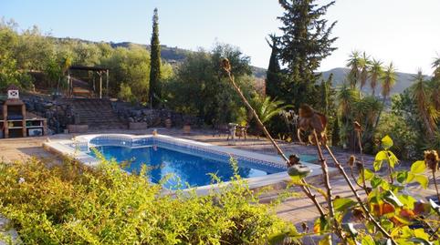 Foto 3 de Finca rústica en venta en Alcaucín, Málaga